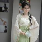 Song Dynasty Hanfu Ladies Autumn Green Dress