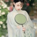 Women Ming Hanfu Long Shirt with Big Sleeves Fairy Spring Skirt