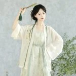 Song Dynasty Casual Hanfu Women's Dresses Elegant Skirt