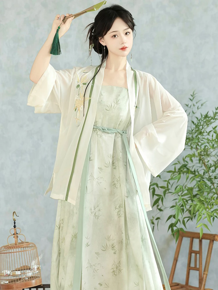 Song Dynasty Casual Hanfu Women's Dresses Elegant Skirt