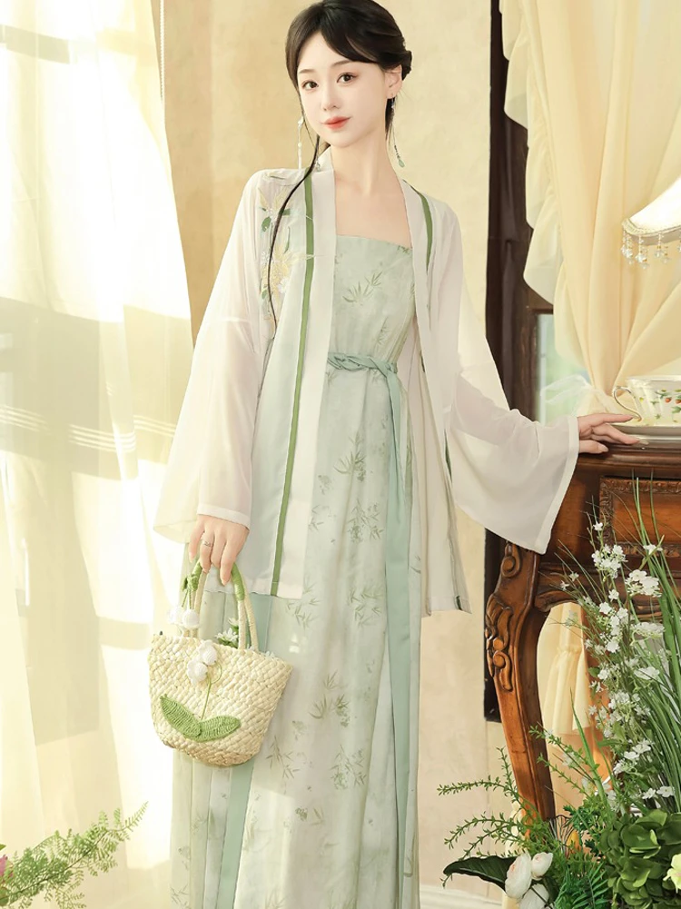 Song Dynasty Casual Hanfu Women's Dresses Elegant Skirt