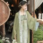 Song Dynasty Ladies Hanfu Vintage Dress Daily Autumn Wear