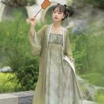 Song Dynasty Ladies Hanfu Vintage Dress Daily Autumn Wear