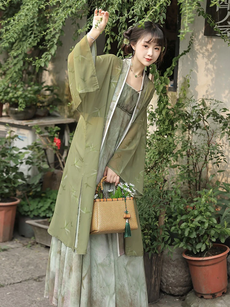 Song Dynasty Ladies Hanfu Vintage Dress Daily Autumn Wear