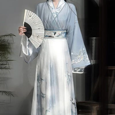 Martial Arts Women Hanfu Jiaoling Ruqun Wei Jin Style