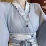 Martial Arts Women Hanfu Jiaoling Ruqun Wei Jin Style