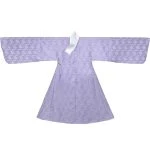 Men's Ming Dynasty Daopao Purple Hanfu Vintage Style