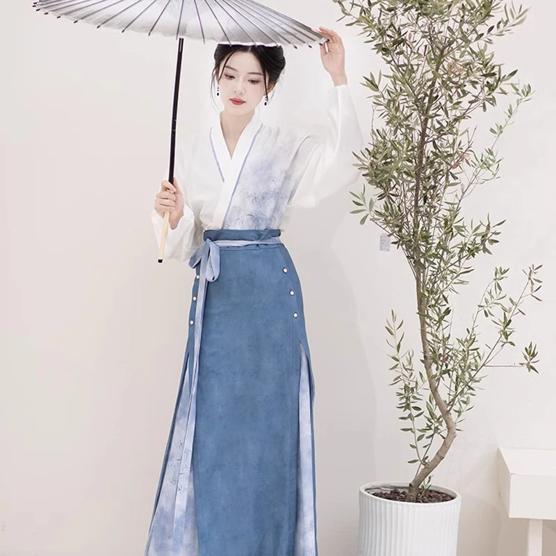 Song Dynasty Ladies Hanfu Autumn Blue Casual Style