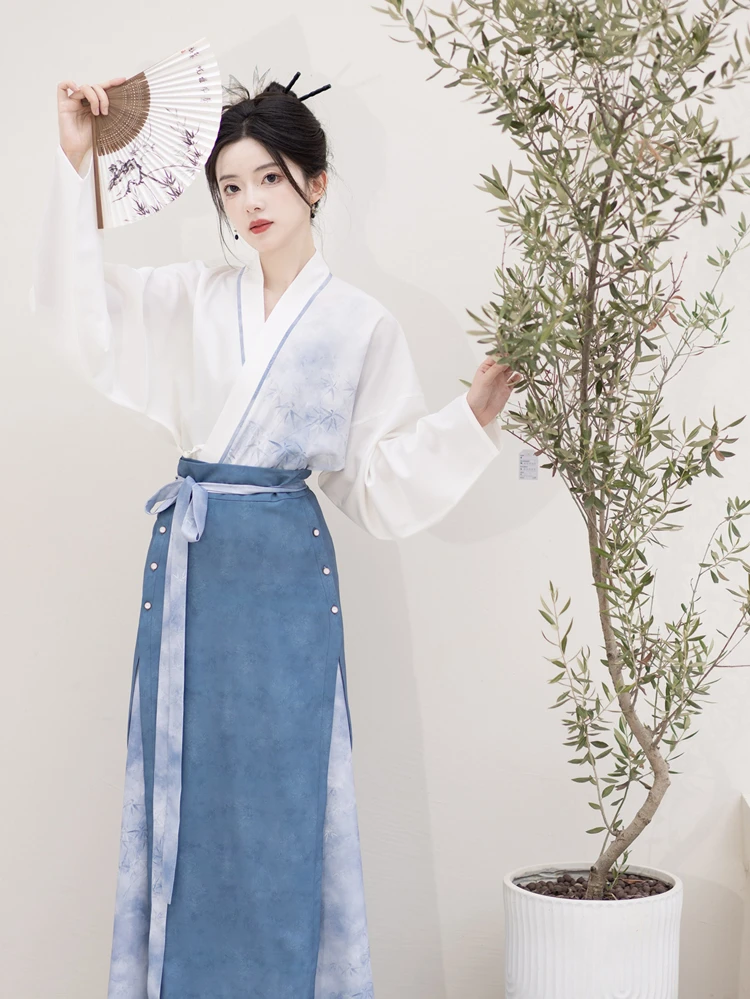 Song Dynasty Ladies Hanfu Autumn Blue Casual Style