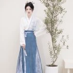 Song Dynasty Ladies Hanfu Autumn Blue Casual Style