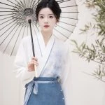 Song Dynasty Ladies Hanfu Autumn Blue Casual Style