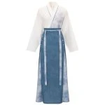 Song Dynasty Ladies Hanfu Autumn Blue Casual Style