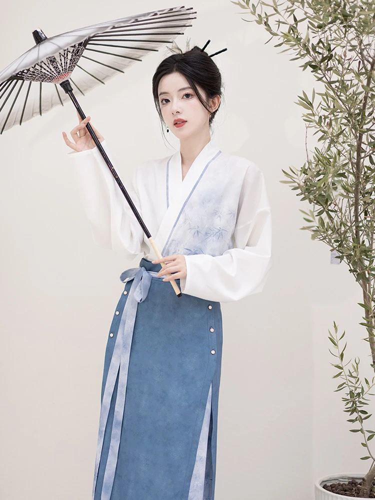 Song Dynasty Ladies Hanfu Autumn Blue Casual Style