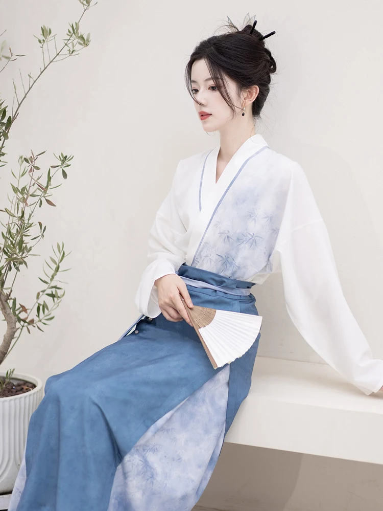 Song Dynasty Ladies Hanfu Autumn Blue Casual Style