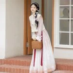 Tang Dynasty Ladies Hanfu Beizi Pink Fairy Spring Skirt