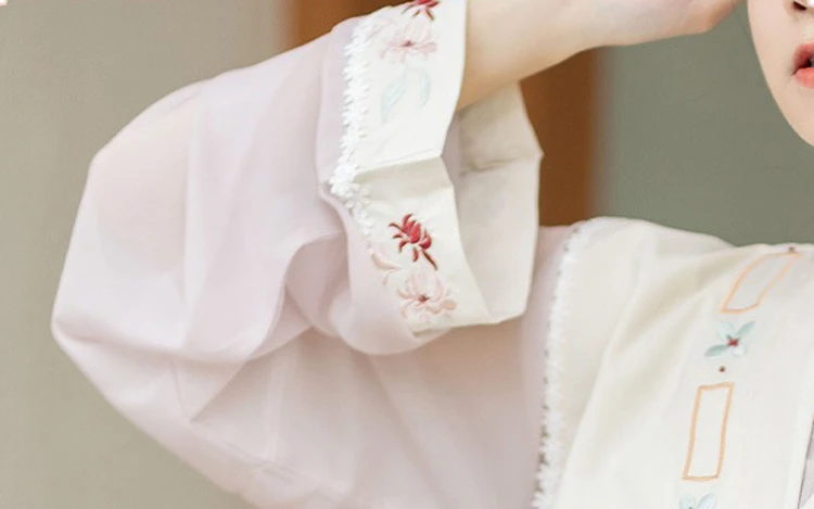 Tang Dynasty Ladies Hanfu Beizi Pink Fairy Spring Skirt