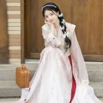 Tang Dynasty Ladies Hanfu Beizi Pink Fairy Spring Skirt