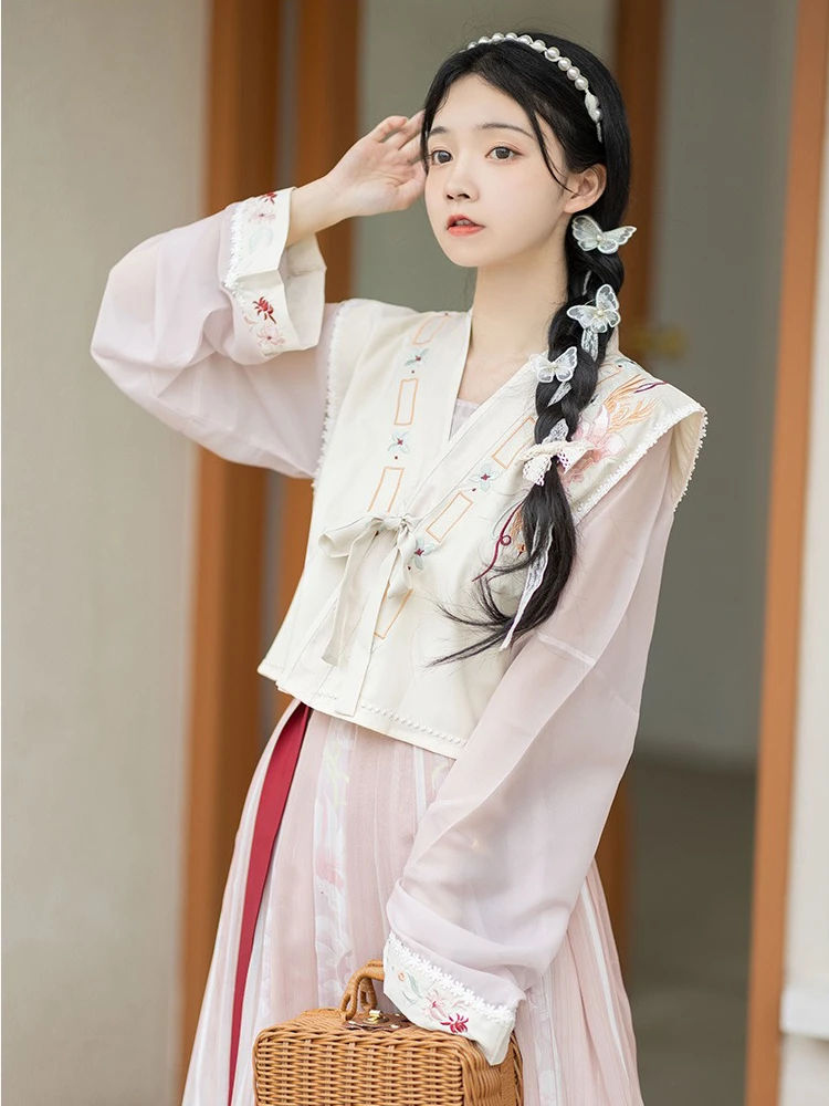 Tang Dynasty Ladies Hanfu Beizi Pink Fairy Spring Skirt