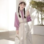 Women Han Fashion Dress Hanfu Standing Collar Shirt Bijia Autumn Season