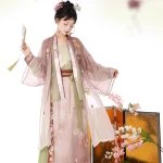 Pink Women Hanfu Song Dynasty Casual Skirt for Summer