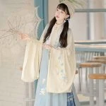 Winter Ming Hanfu Long Bijia Blue Daily Ma Mian Skirt