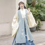 Winter Ming Hanfu Long Bijia Blue Daily Ma Mian Skirt