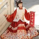 Women's New Year Hanfu Ming Dynasty Red Colour Ma Mian Skirt