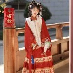 Women's New Year Hanfu Ming Dynasty Red Colour Ma Mian Skirt