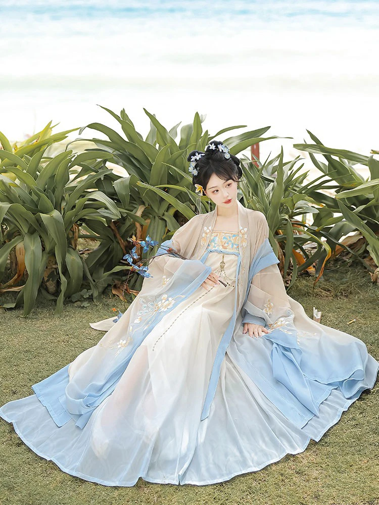 Hanfu Tang Dynasty Hezi Qun Spring Embroidered Fairy Skirt