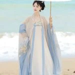 Hanfu Tang Dynasty Hezi Qun Spring Embroidered Fairy Skirt