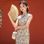 Printed Cheongsam New Girls Daily Chinese Dress Long Qipao