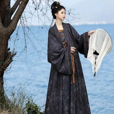 Vintage Qixiong Hanfu Recovery Style Black Color Tang Dynasty Hanfu