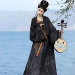 Vintage Qixiong Hanfu Recovery Style Black Color Tang Dynasty Hanfu