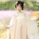Ming Dynasty Thin Women Summer Traditional Hanfu Yunjian Retro Costume