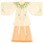 Ming Dynasty Thin Women Summer Traditional Hanfu Yunjian Retro Costume