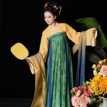 Tang Dynasty Traditional Hanfu Ladies Qixiong Shanqun Colorful Spring Dresses