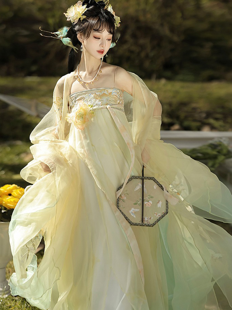 Tang Dynasty Hezi Qun Women Wide-Sleeved Elegant Summer Skirt