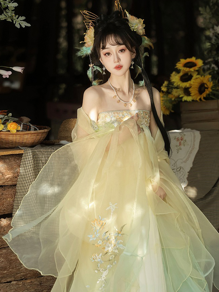 Tang Dynasty Hezi Qun Women Wide-Sleeved Elegant Summer Skirt