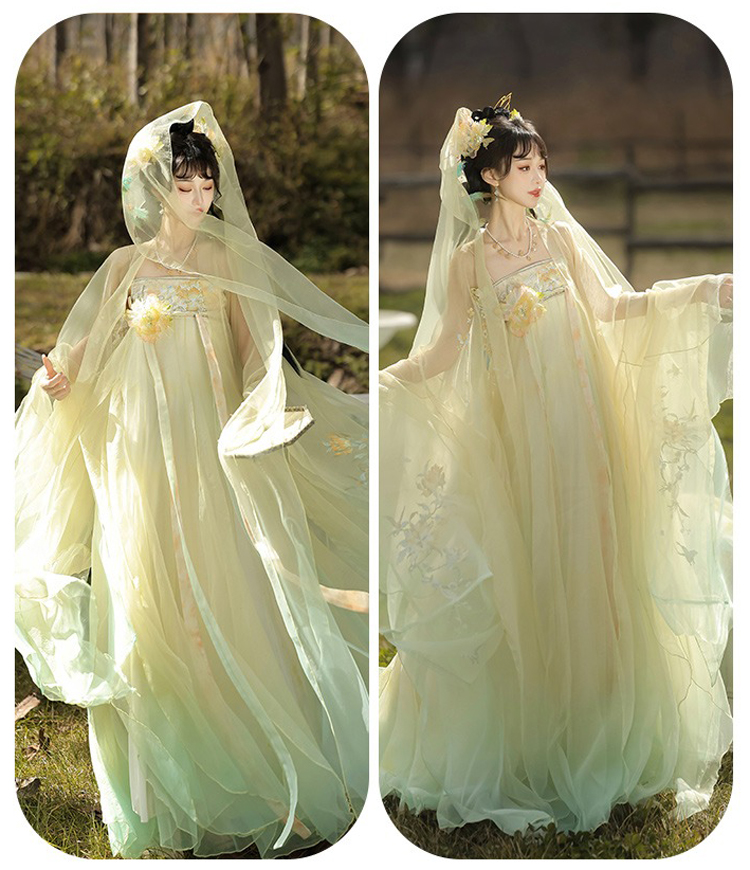 Tang Dynasty Hezi Qun Women Wide-Sleeved Elegant Summer Skirt