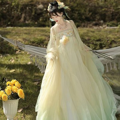 Tang Dynasty Hezi Qun Women Wide-Sleeved Elegant Summer Skirt