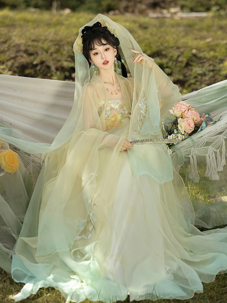 Tang Dynasty Hezi Qun Women Wide-Sleeved Elegant Summer Skirt