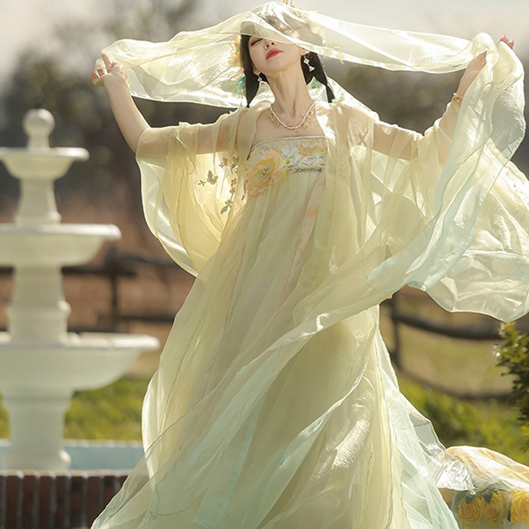 Tang Dynasty Hezi Qun Women Wide-Sleeved Elegant Summer Skirt
