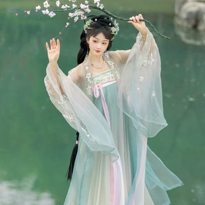Tang Dynasty Ladies Fairy Hanfu Summer Pretty Sets