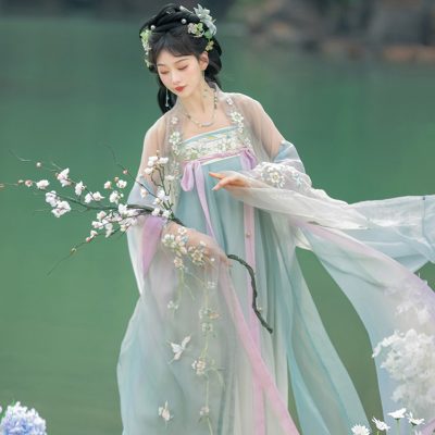 Tang Dynasty Ladies Fairy Hanfu Summer Pretty Sets