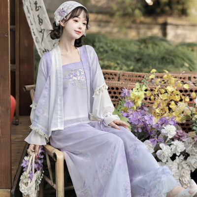 Summer Song Dynasty Hanfu Purple Ladies Daily Casual Clothing