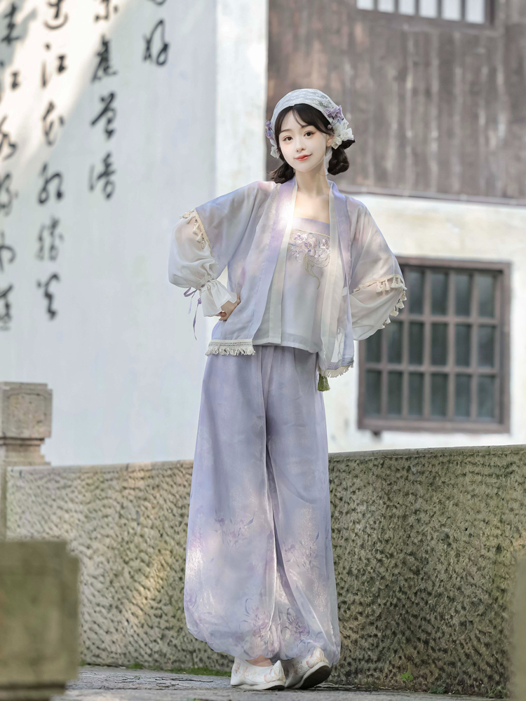 Summer Song Dynasty Hanfu Purple Ladies Daily Casual Clothing