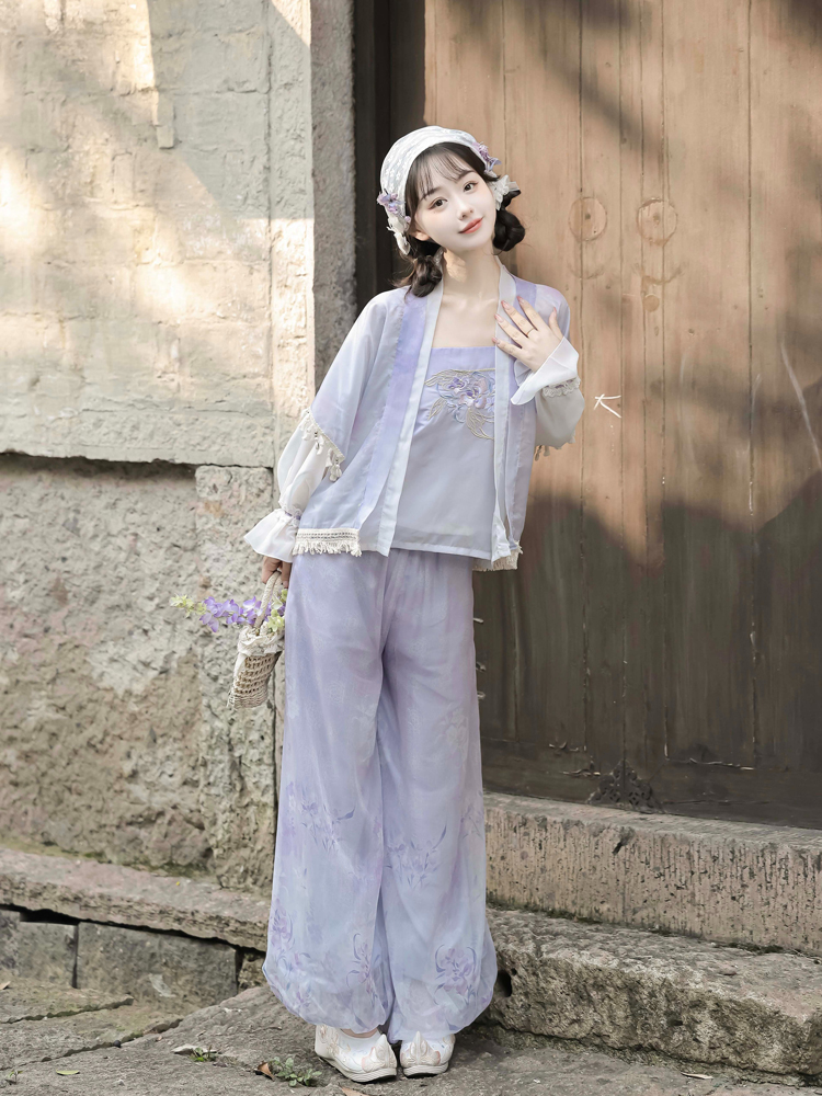 Summer Song Dynasty Hanfu Purple Ladies Daily Casual Clothing