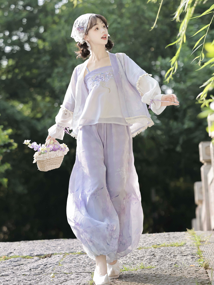 Summer Song Dynasty Hanfu Purple Ladies Daily Casual Clothing