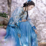 Summer Women Long Sleeve Ming Hanfu Embroidered Pleated Skirt