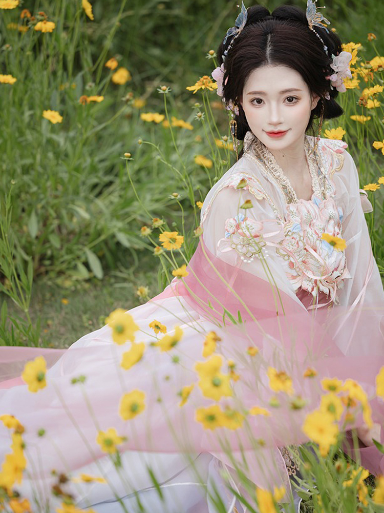 Women Summer Qixiong Hanfu Suit Flower Fairy Cosplay Dress